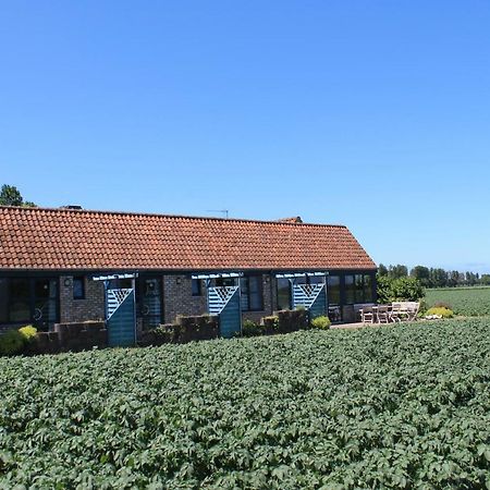 Ateljee Devlaux Bed & Breakfast Veurne Dış mekan fotoğraf