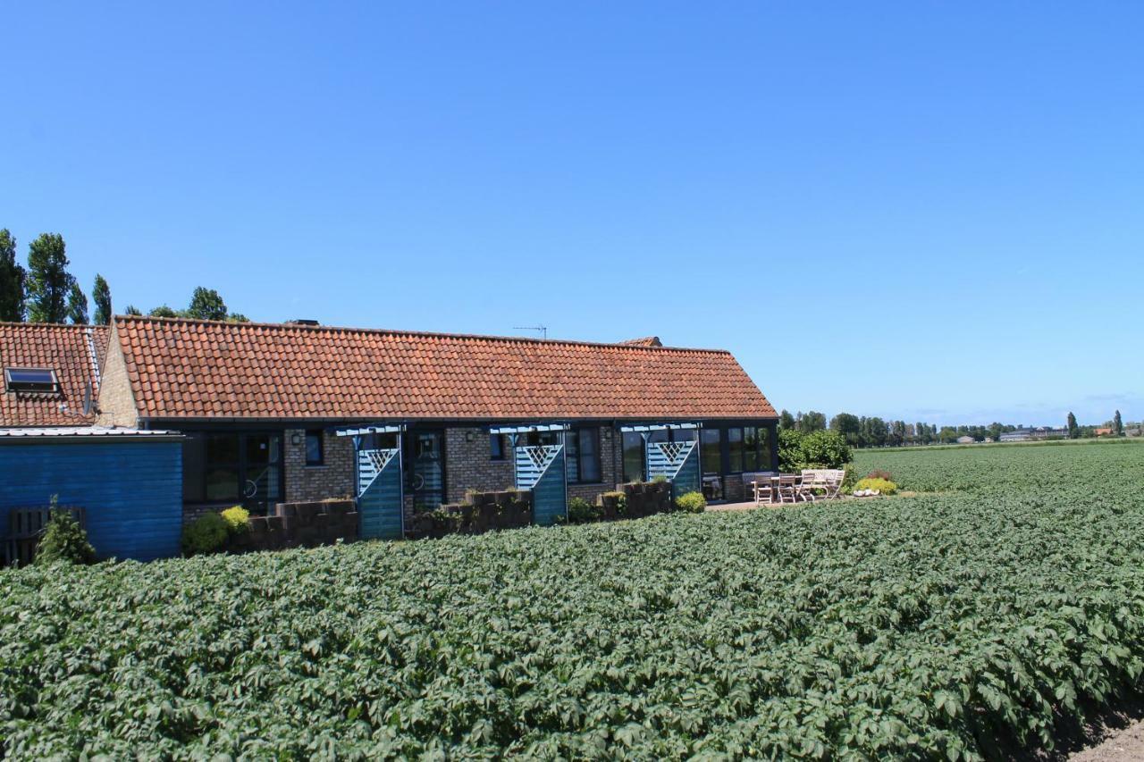 Ateljee Devlaux Bed & Breakfast Veurne Dış mekan fotoğraf